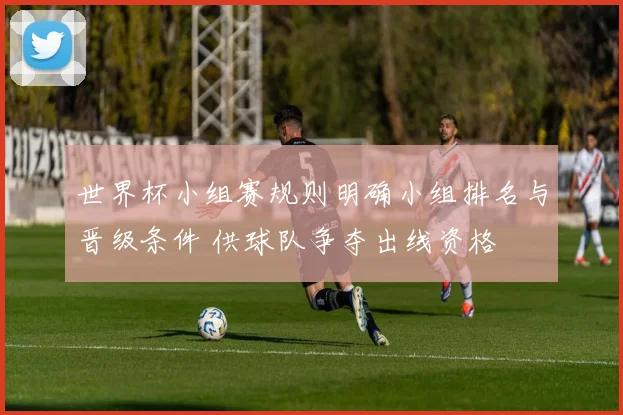世界杯小组赛规则明确小组排名与晋级条件 供球队争夺出线资格