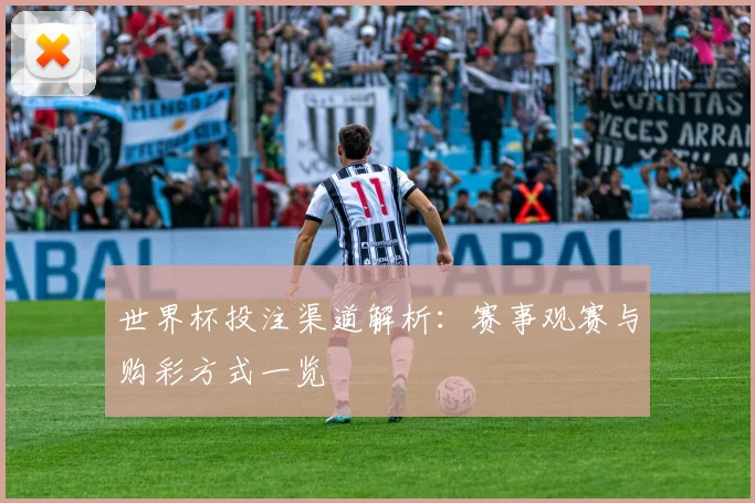 世界杯投注渠道解析：赛事观赛与购彩方式一览