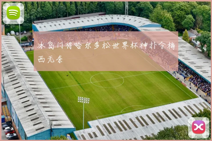 冰岛门将哈尔多松世界杯神扑令梅西无奈