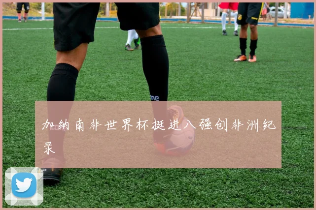 加纳南非世界杯挺进八强创非洲纪录