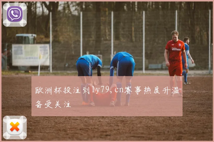 欧洲杯投注到ly79,cn赛事热度升温备受关注
