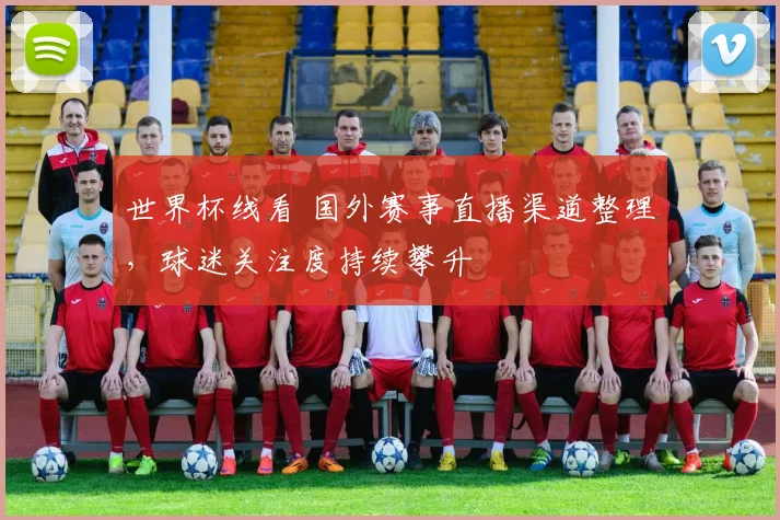 世界杯线看 国外赛事直播渠道整理，球迷关注度持续攀升